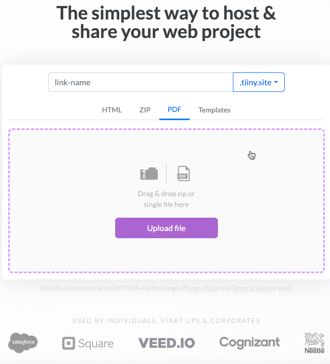 Screenshot of a webpage for Tiny Host, a web project hosting service. The page includes input fields for a link name and file upload options.