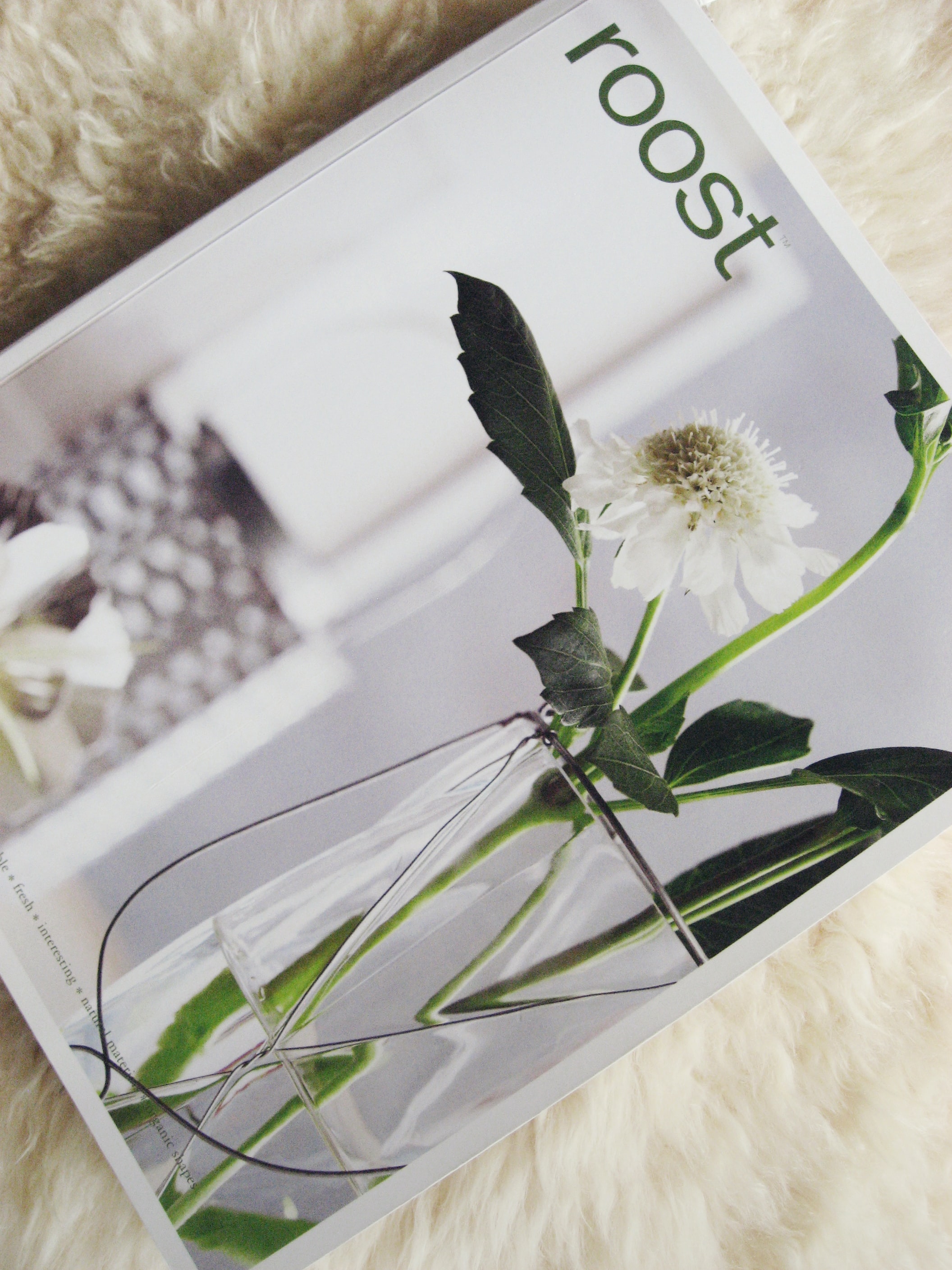 Scribd Vs Issuu: Which is a better PDF host?