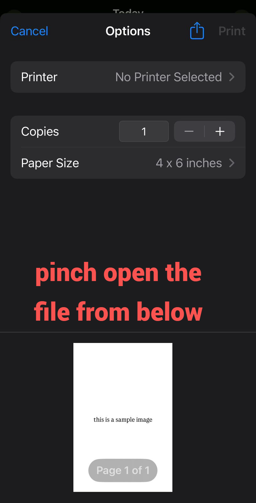 Screenshot of PDF Preview image to select printer and size