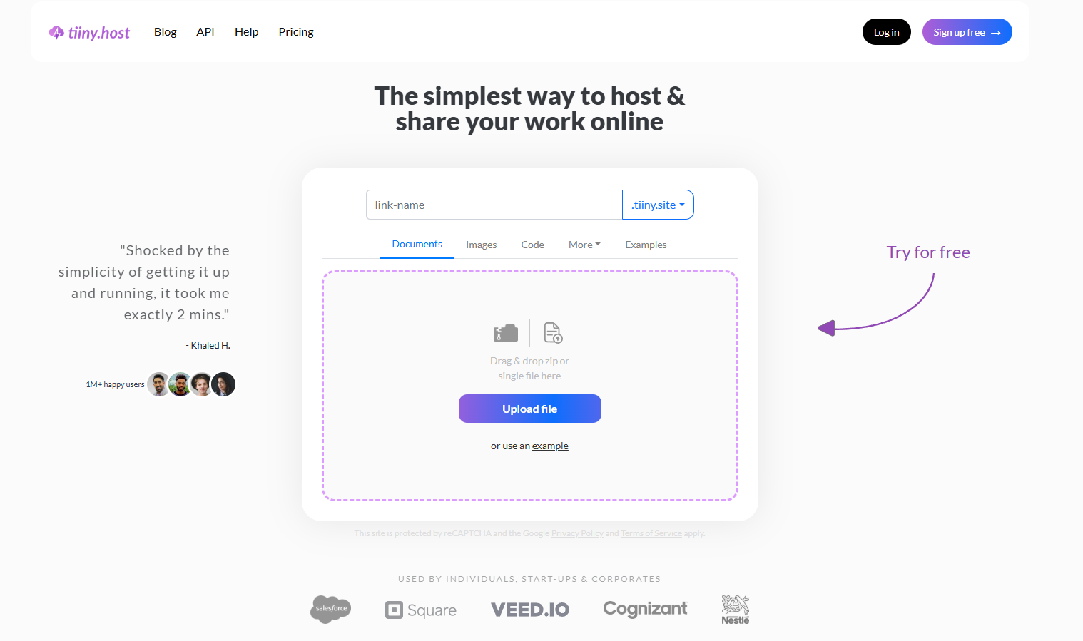 Tiiny Host's homepage, an interface that allows you to host any files.
