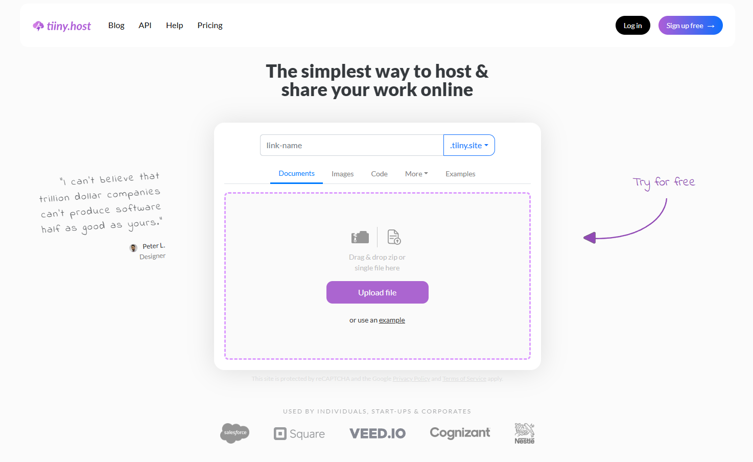 Tiiny Host's interface to upload and host files online