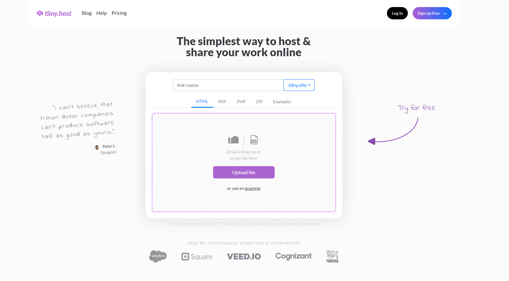 Tiiny Host's webpage through which you can host your files.